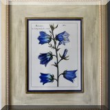 A36. Framed botanical print.